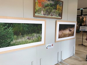 salon d'art traceur direct